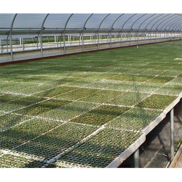 Riverstone Industries RSI RSI-ST242 Hydroponic Seed Trays - 242 plugs; 2 Pack